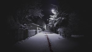 undefined Images